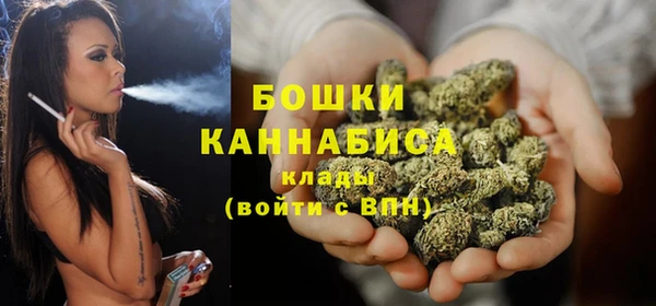 прущие грибы Билибино