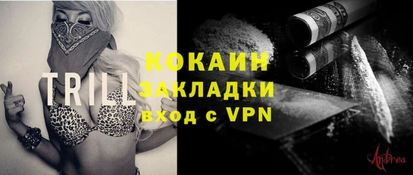 гашик Яровое