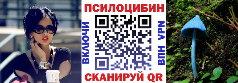 закладка  Белёв  Галлюциногенные грибы Psilocybe 