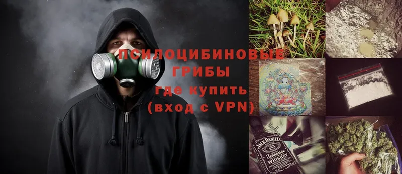 даркнет клад  Белёв  Галлюциногенные грибы Psilocybe 